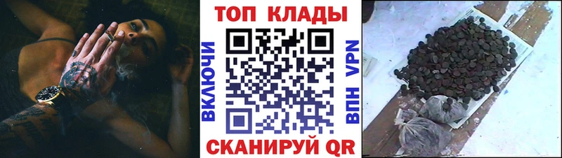 Купить закладку Игра ГАШ  Галлюциногенные грибы  Меф мяу мяу  СК  АМФЕТАМИН 