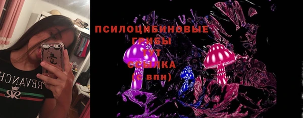 ПСИЛОЦИБИНОВЫЕ ГРИБЫ Беломорск